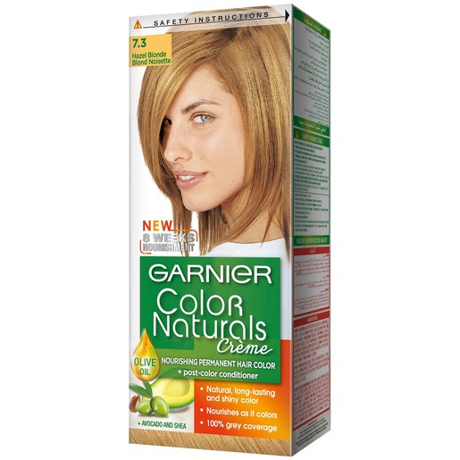 Buy Garnier Color Naturals 7.3 Hazel Blonde Hair Color 1 ...
