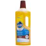 Pledge Natural Multi Surface Floor Cleaner 750 ml