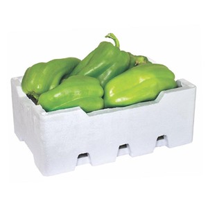 Capsicum Thermo Box 1 pkt