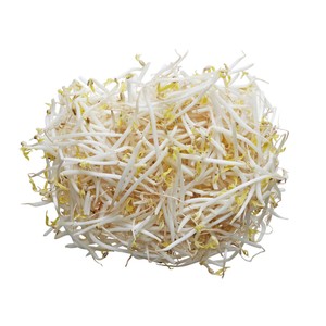 Beans Sprout Local 300 g