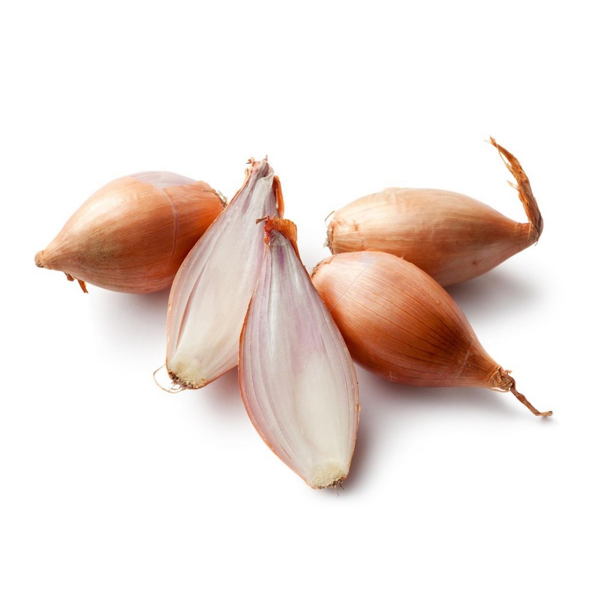 Shallot