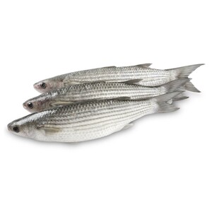 Mullet Fish 1kg