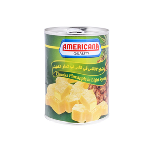 Americana Pineapple Chunks in Syrup 565 g