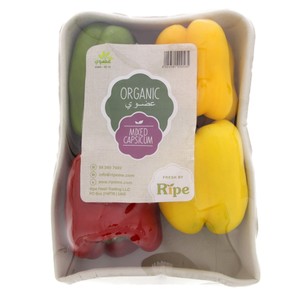 Organic Capsicum Mix 1 pkt