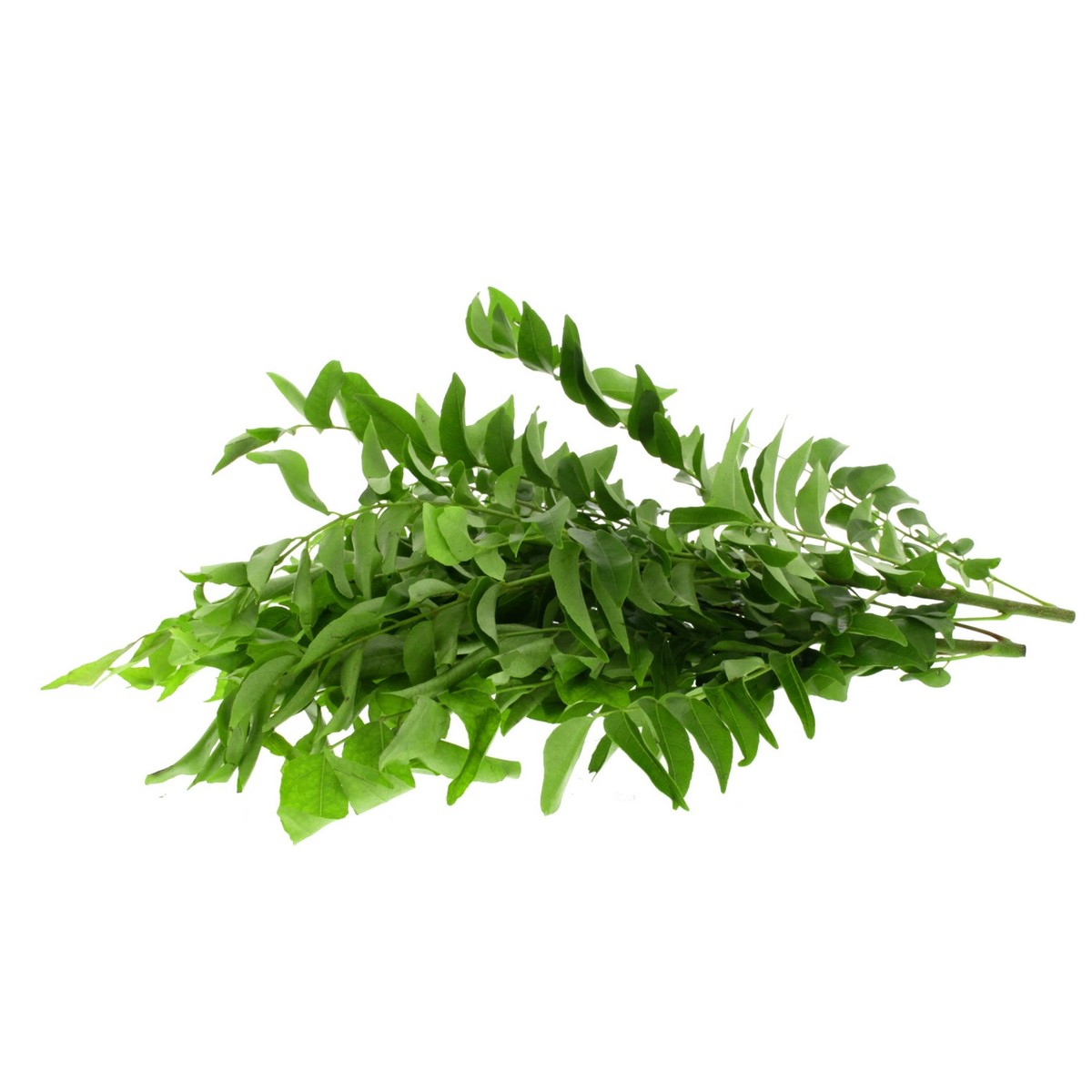 Curry Leaves Sri Lanka 75 g