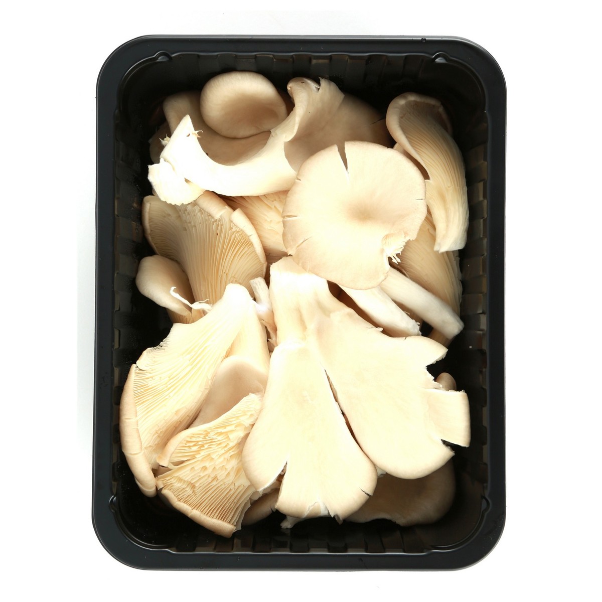 buy grey oyster mushrooms online on where to buy oyster mushrooms online