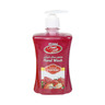 Home Mate Anti-Bacterial Liquid Hand Wash Assorted 3 x 500 ml