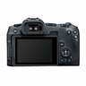 Canon Mirrorless Camera EOS-R8 Body