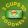 Lipton Mint Green Tea 50 Teabags