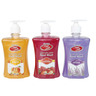 Home Mate Anti-Bacterial Liquid Hand Wash Assorted 3 x 500 ml