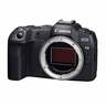 Canon Mirrorless Camera EOS-R8 Body