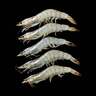 Omani Defrosted Shrimps 51/60 500 g