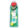 Jif Antibacterial Dishwashing Liquid Mint & Lemon Double Foam Power 750 ml